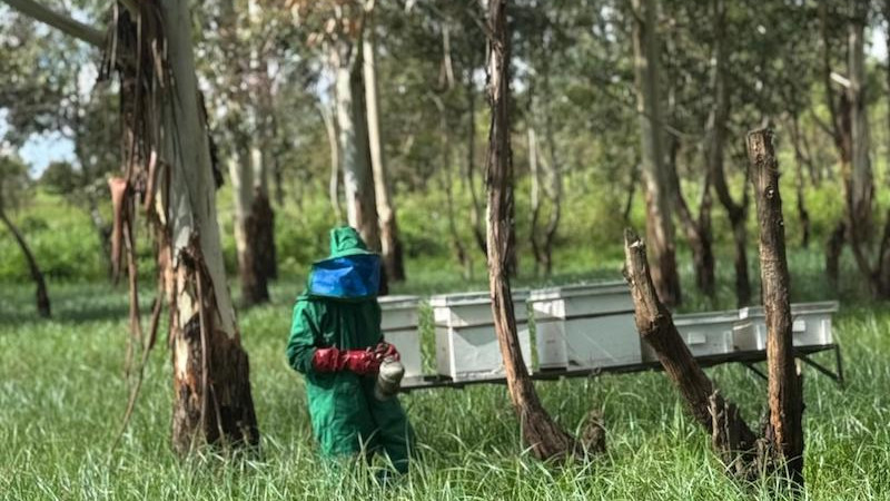 Construindo um futuro mais verde – Destaque sobre a TMEA