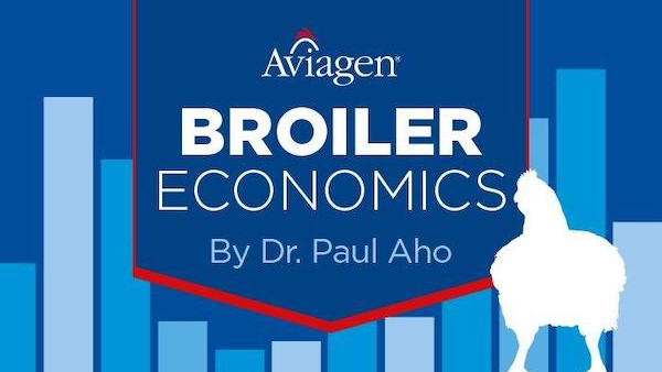 Broiler Economics: Bear Market in Grain Continues, Aug. 2024