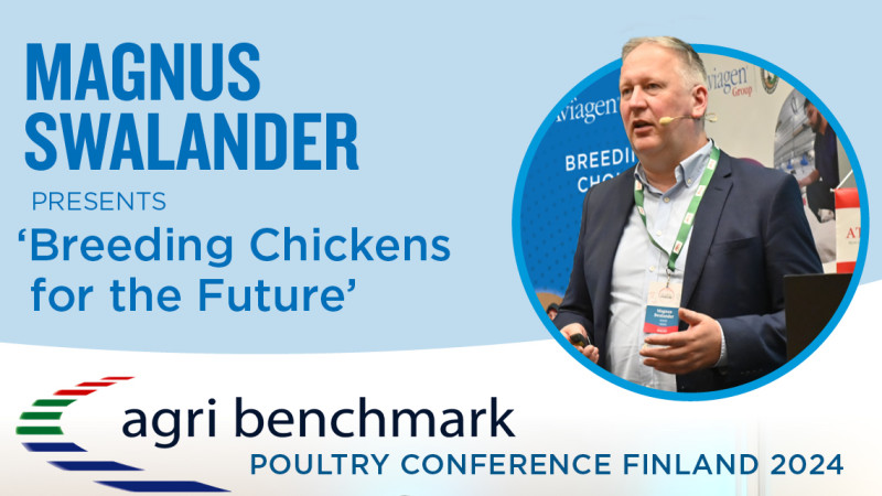“Breeding chicks for the future” featured at agri benchmark global poultry forum