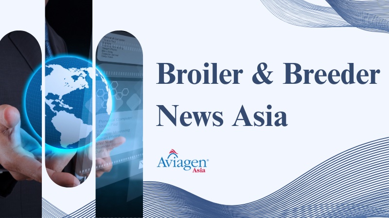 Broiler & Breeder News Asia, 3 – 9 Dec 2025