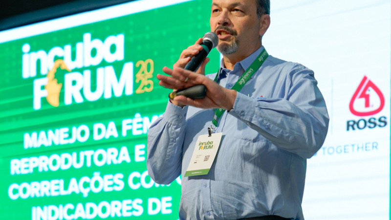 Spotlight on Poultry Breeding and Innovation in Brazil